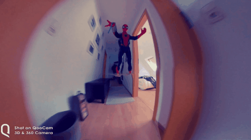 16.gif
