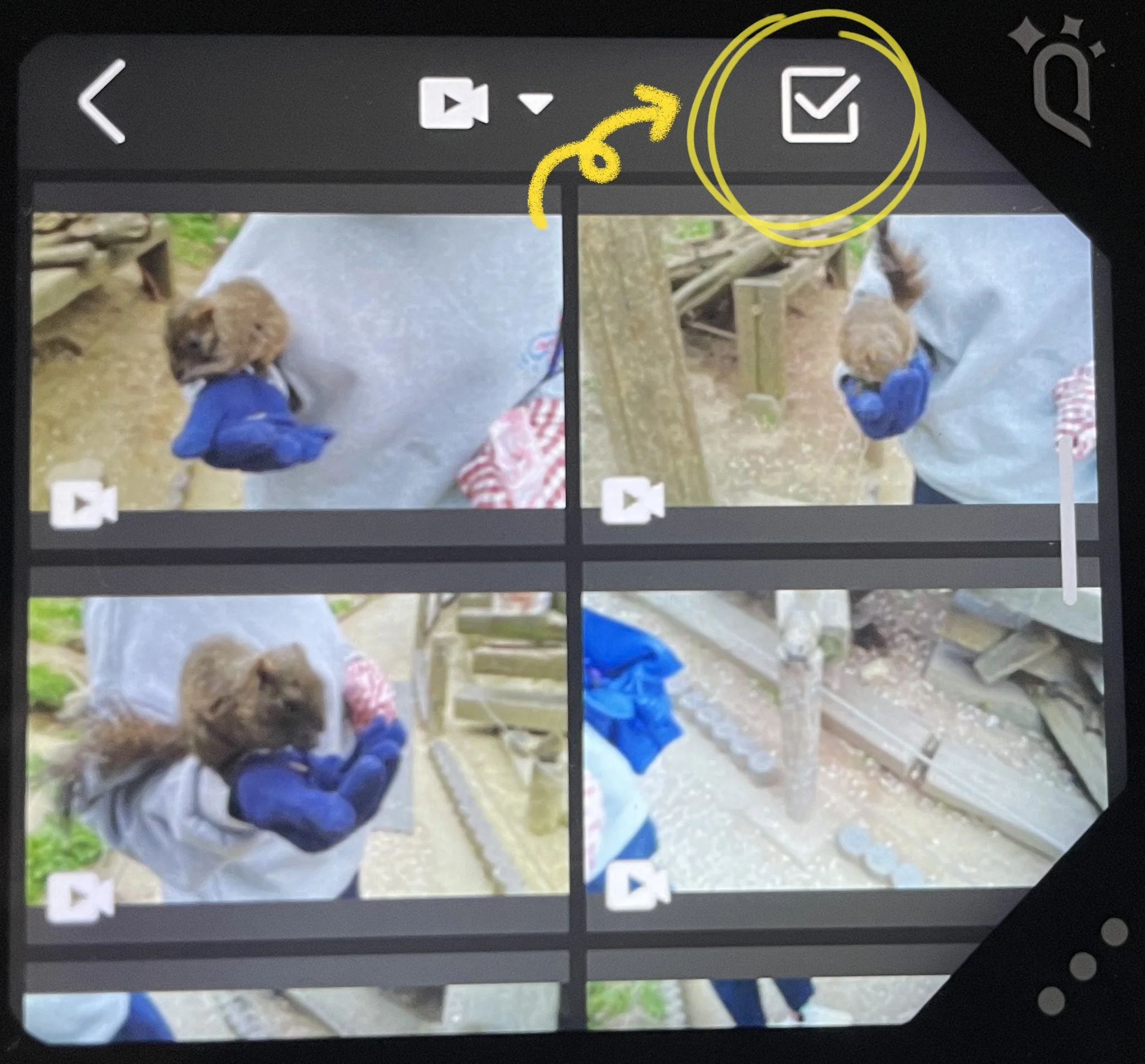 How_to_Stabilize_Videos_Shot_by_QooCam_EGO_In-Camera_Stabilization-4.webp