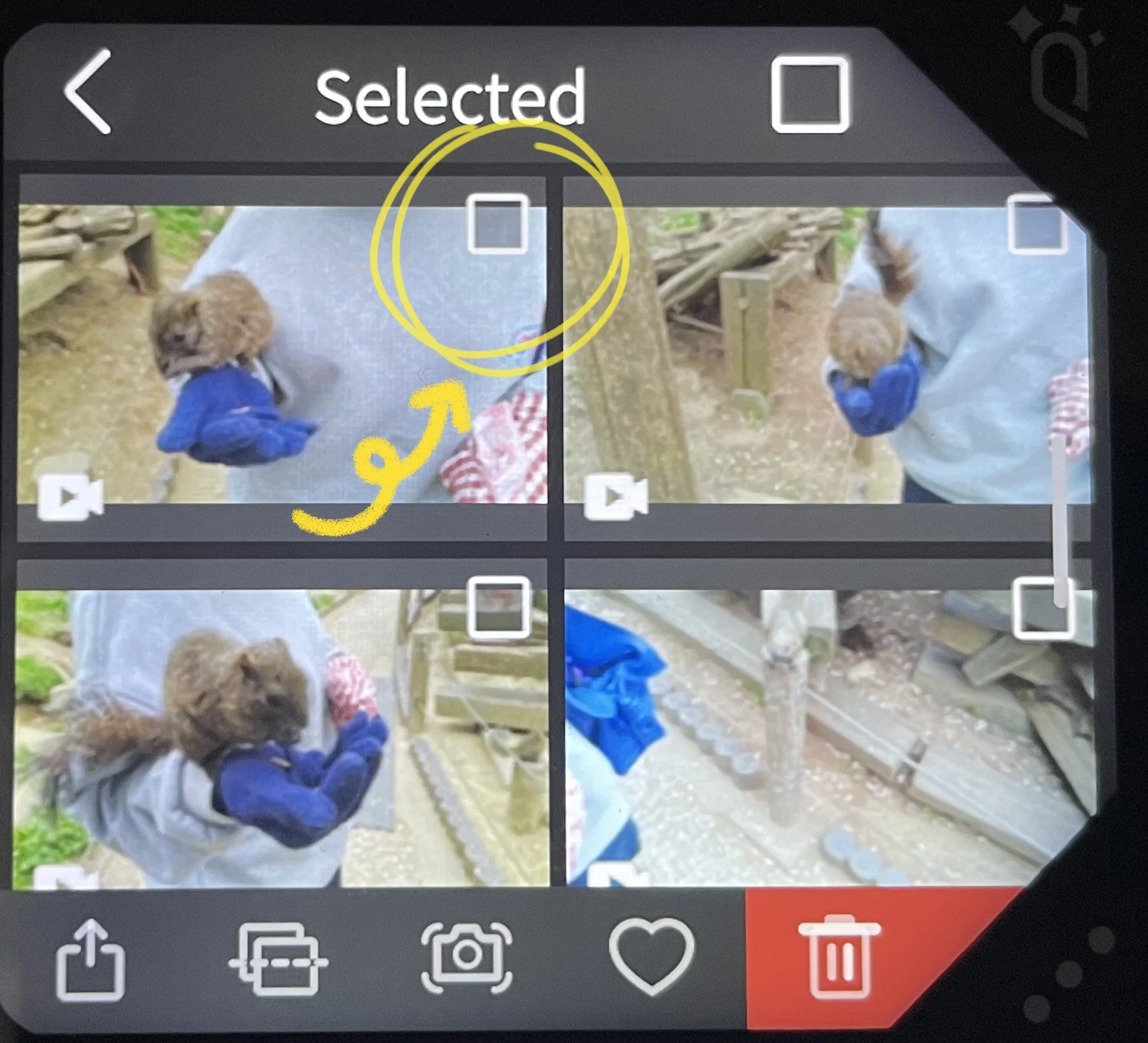 How_to_Stabilize_Videos_Shot_by_QooCam_EGO_In-Camera_Stabilization-5.webp
