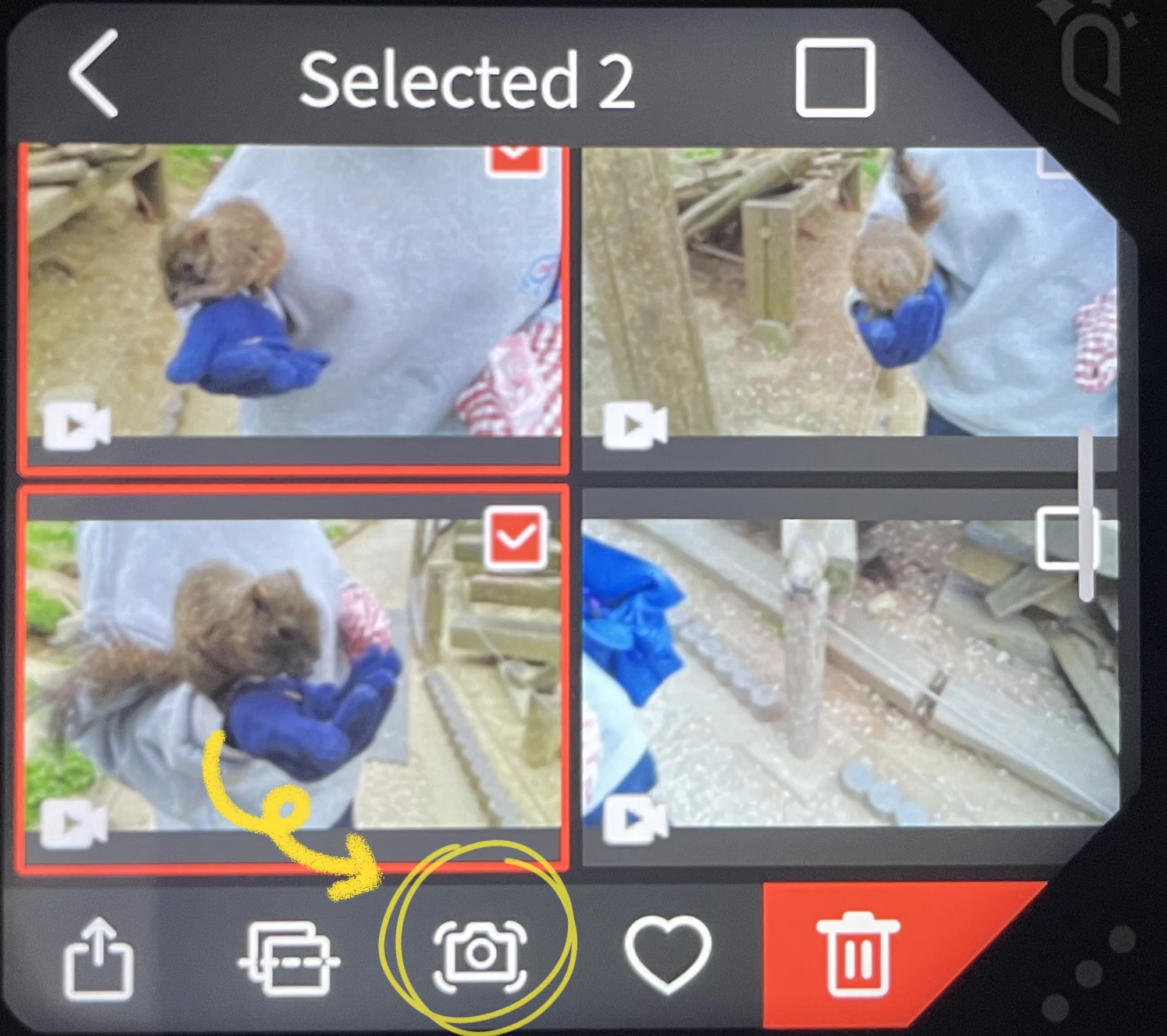 How_to_Stabilize_Videos_Shot_by_QooCam_EGO_In-Camera_Stabilization-6.webp