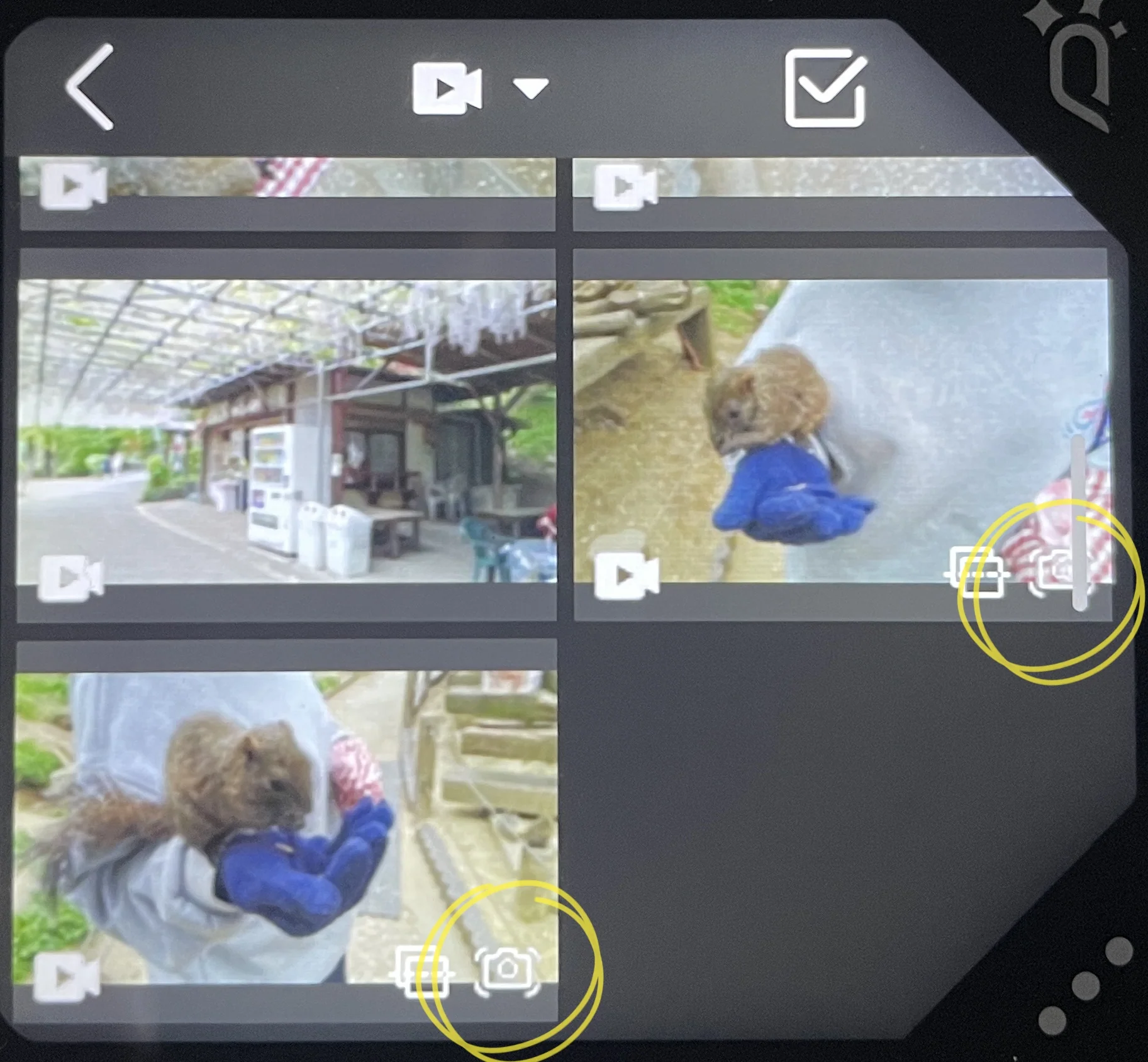 How_to_Stabilize_Videos_Shot_by_QooCam_EGO_In-Camera_Stabilization-9.webp