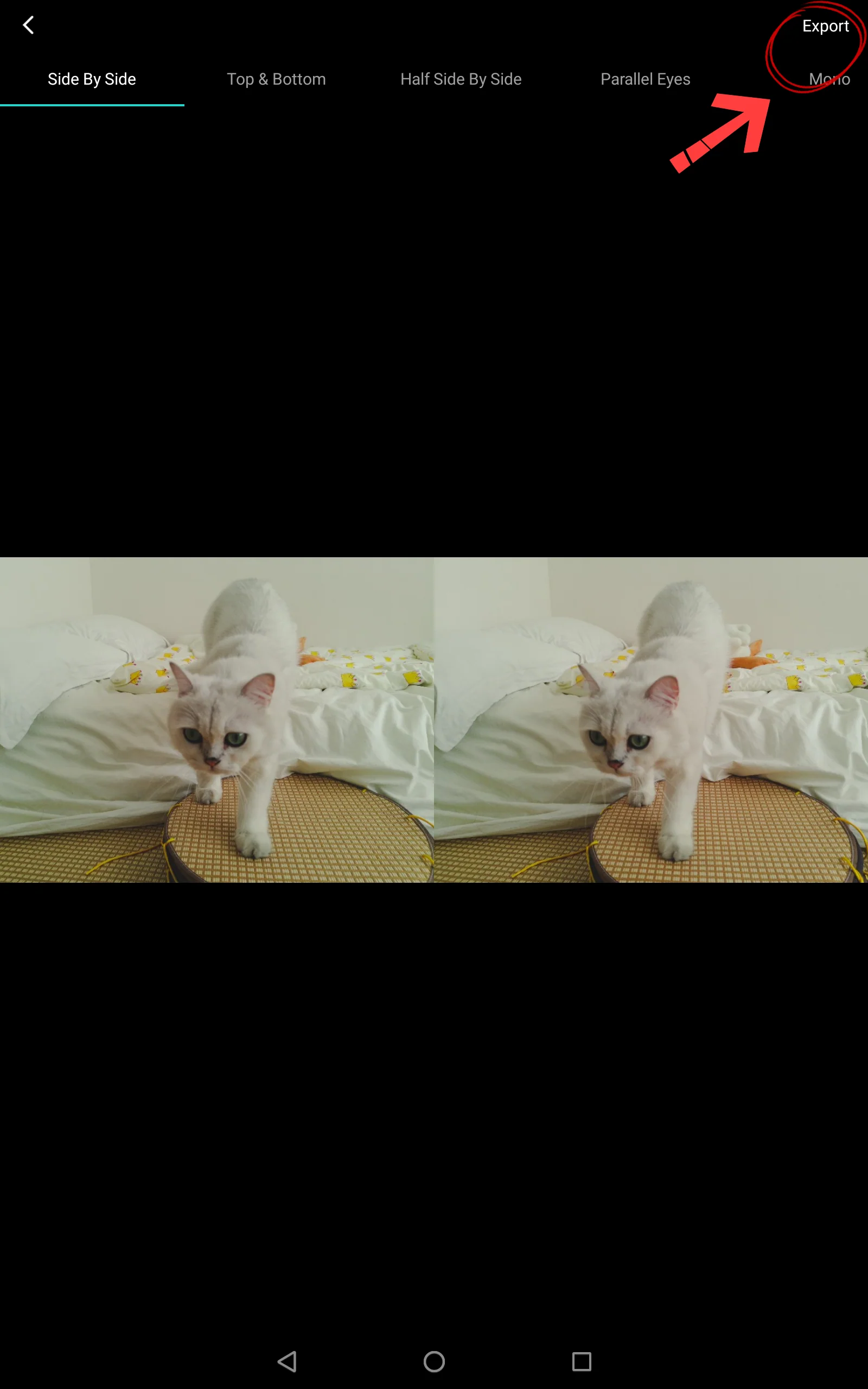QooCam_EGO_X_Lume_pad_User_Guide29.webp